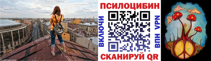 продажа наркотиков  Грайворон  Галлюциногенные грибы Cubensis 